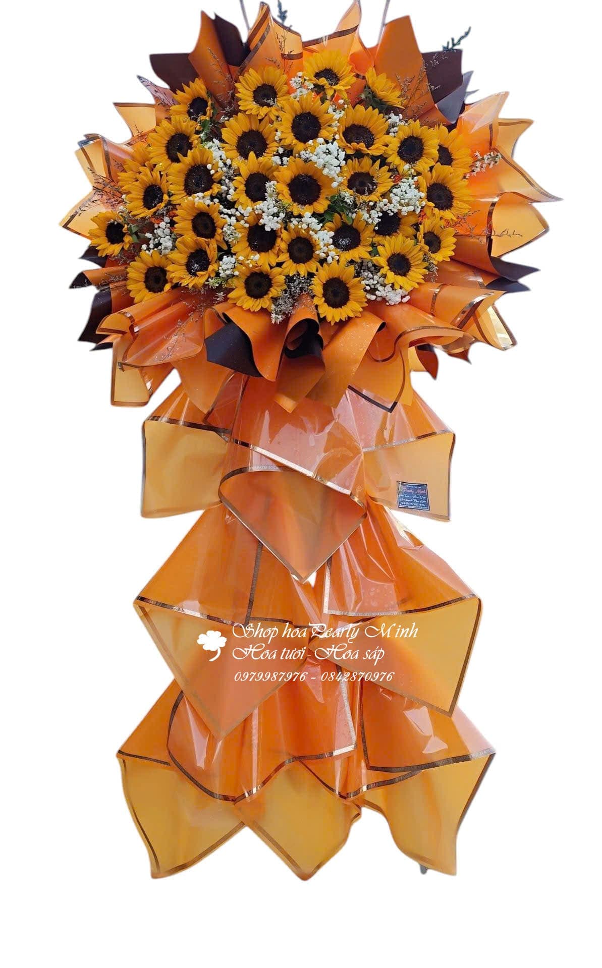 Lãng hoa chúc mừng