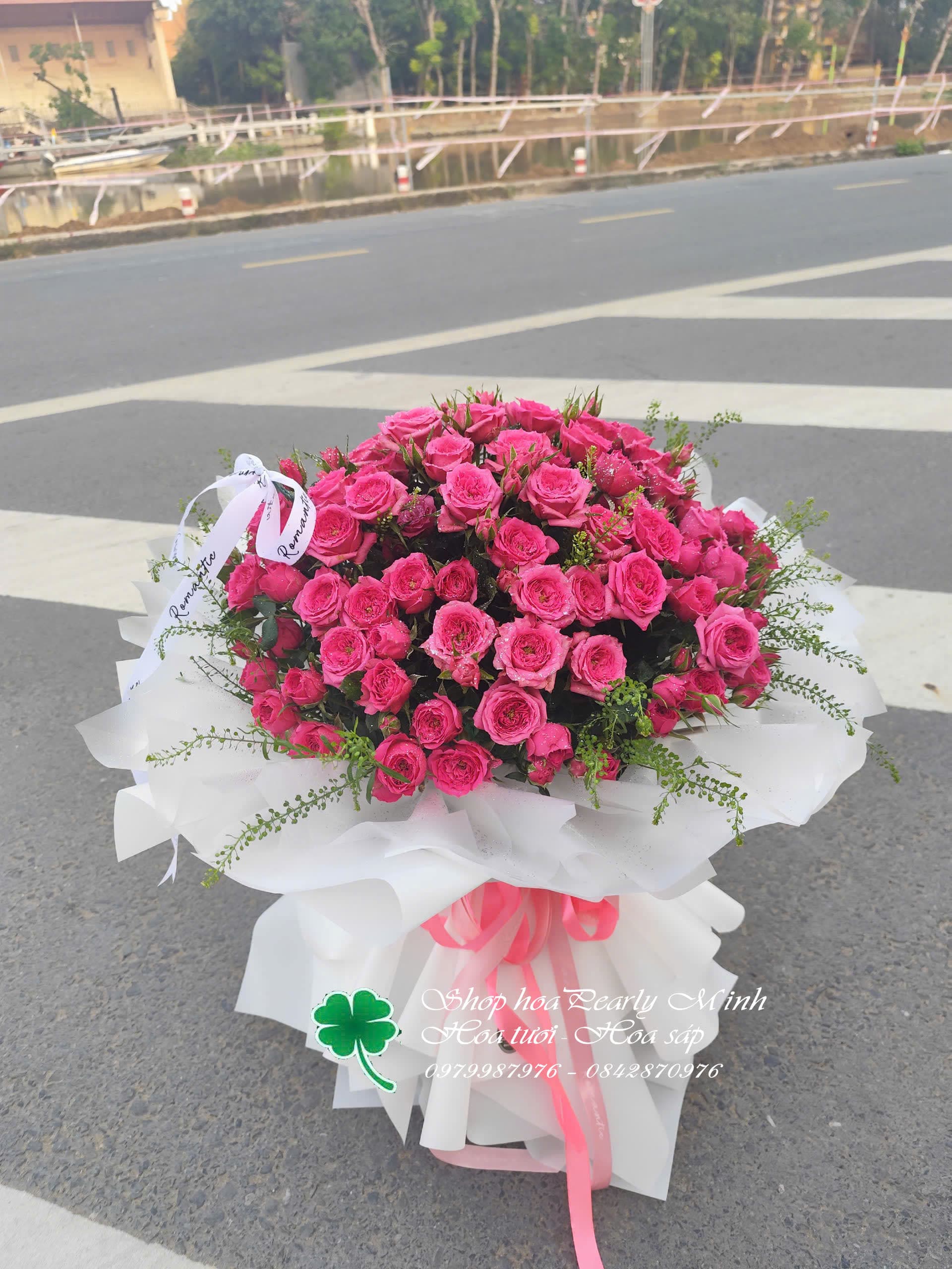 Hồng sophia công chúa 1